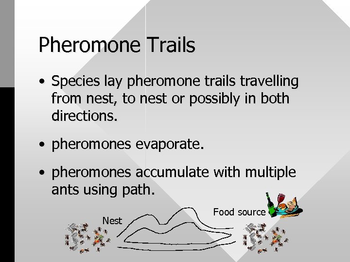 Pheromone Trails • Species lay pheromone trails travelling from nest, to nest or possibly