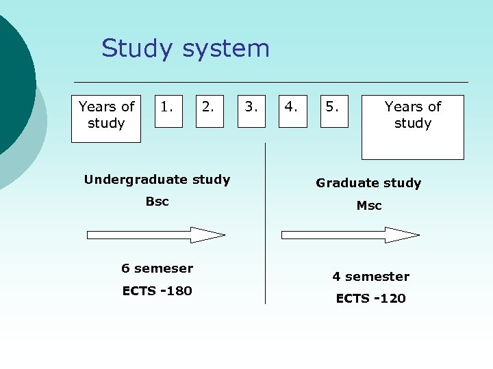 Study system Years of study 1. 2. 3. 4. 5. Years of study Undergraduate