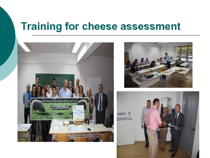 Training for cheese assessment 