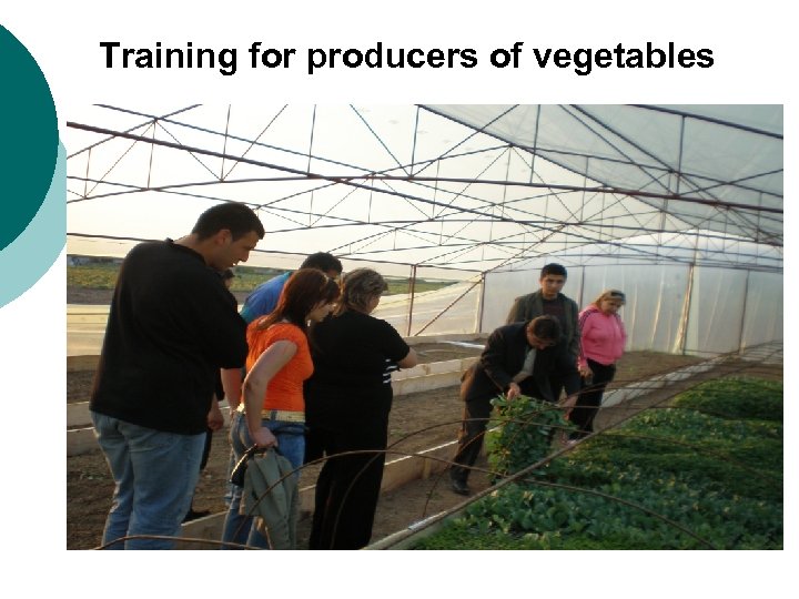 Training for producers of vegetables 