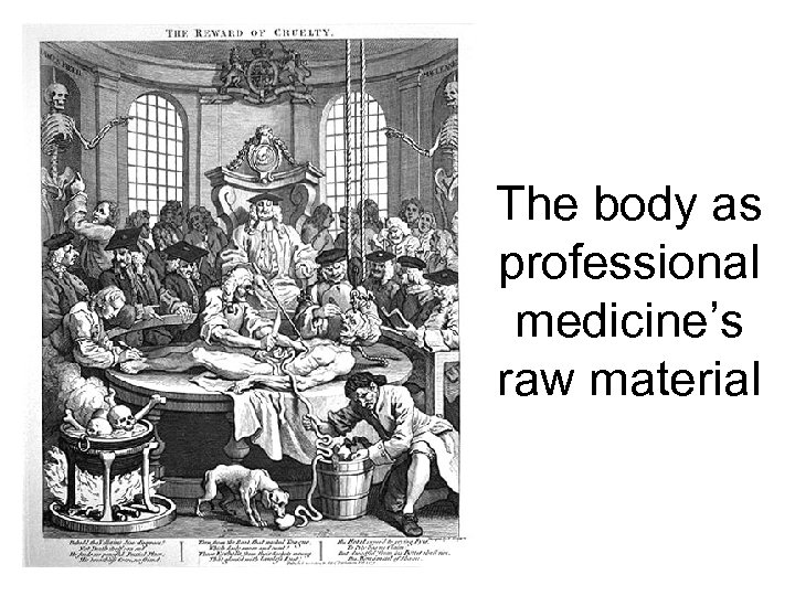 The body as professional medicine’s raw material 