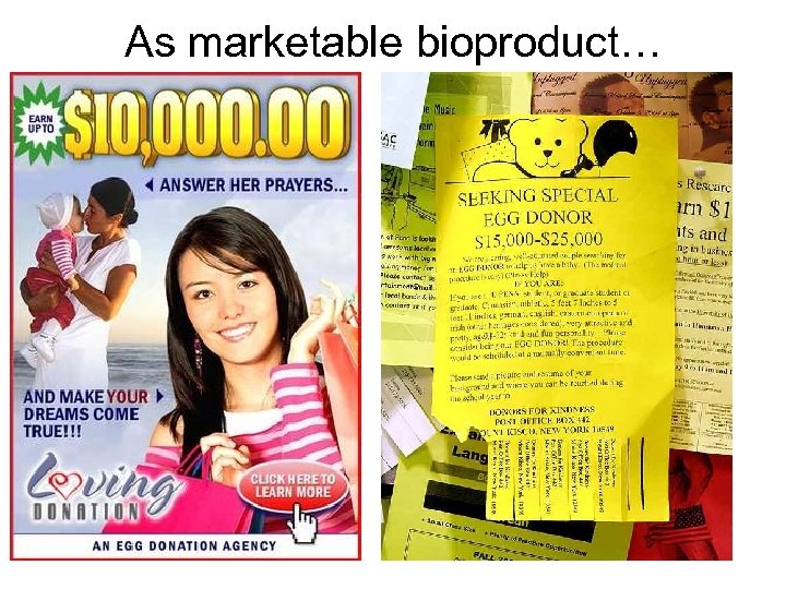 As marketable bioproduct… 