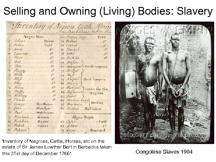 Selling and Owning (Living) Bodies: Slavery 'Inventory of Negroes, Cattle, Horses, etc on the