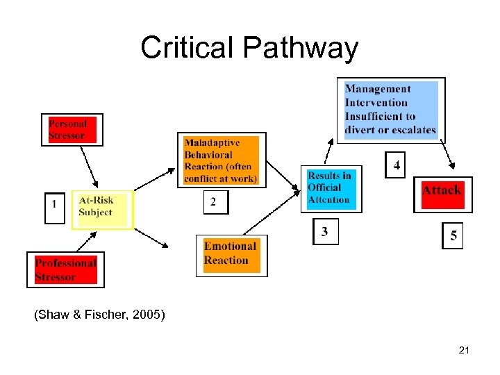 Critical Pathway (Shaw & Fischer, 2005) 21 