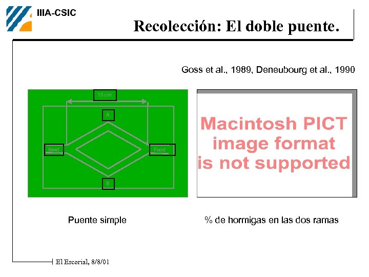 IIIA-CSIC Recolección: El doble puente. Goss et al. , 1989, Deneubourg et al. ,