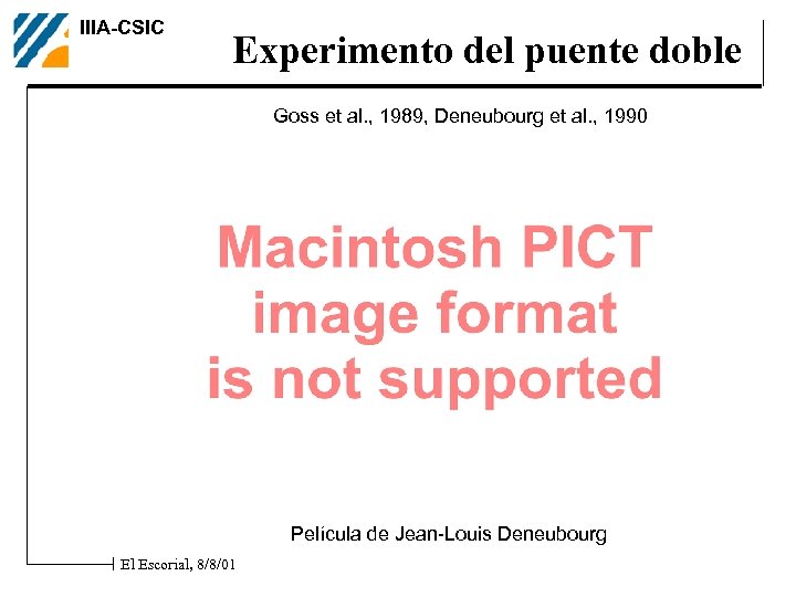 IIIA-CSIC Experimento del puente doble Goss et al. , 1989, Deneubourg et al. ,