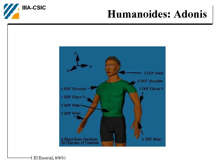 IIIA-CSIC El Escorial, 8/8/01 Humanoides: Adonis 