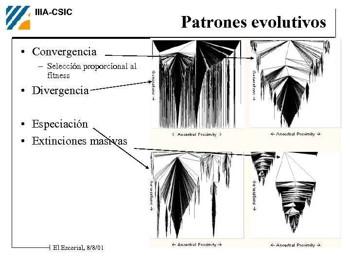 IIIA-CSIC • Convergencia – Selección proporcional al fitness • Divergencia • Especiación • Extinciones