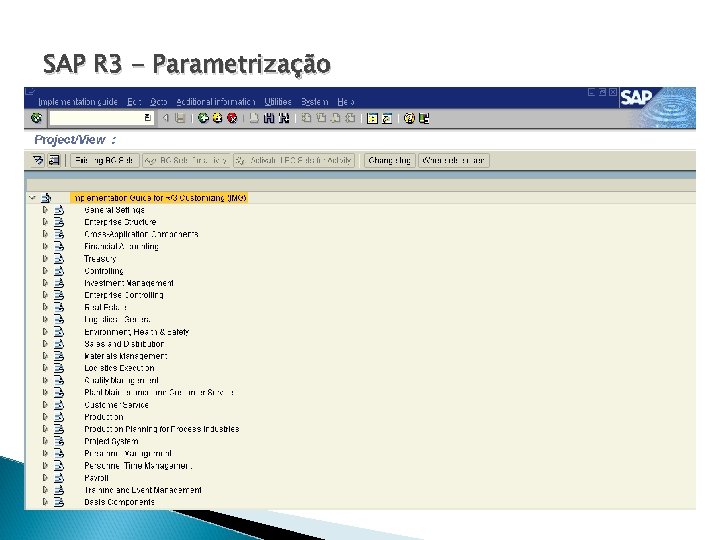 SAP R 3 - Parametrização 