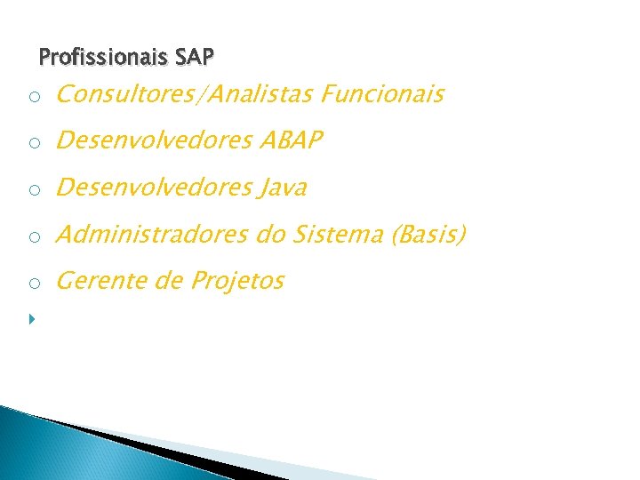 Profissionais SAP o Consultores/Analistas Funcionais o Desenvolvedores ABAP o Desenvolvedores Java o Administradores do