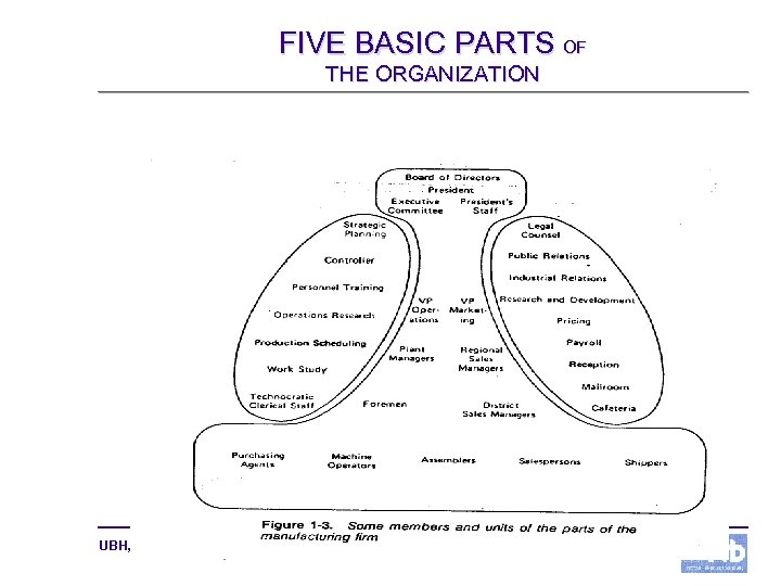 FIVE BASIC PARTS OF THE ORGANIZATION UBH, IIW, HL Minggu ke 12 10 Studio