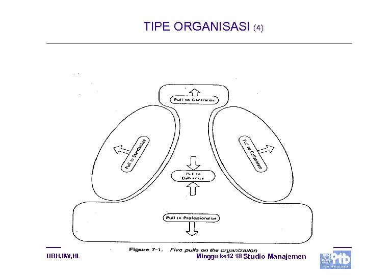 TIPE ORGANISASI (4) UBH, IIW, HL Minggu ke 12 18 Studio Manajemen 