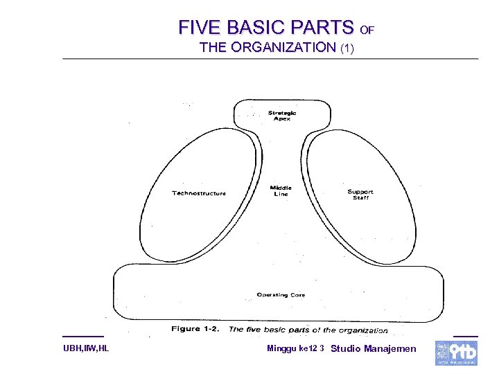 FIVE BASIC PARTS OF THE ORGANIZATION (1) UBH, IIW, HL Minggu ke 12 3