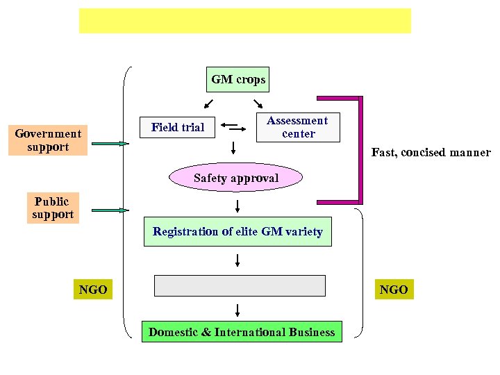 GM crops Government support Field trial Assessment center Fast, concised manner Safety approval Public