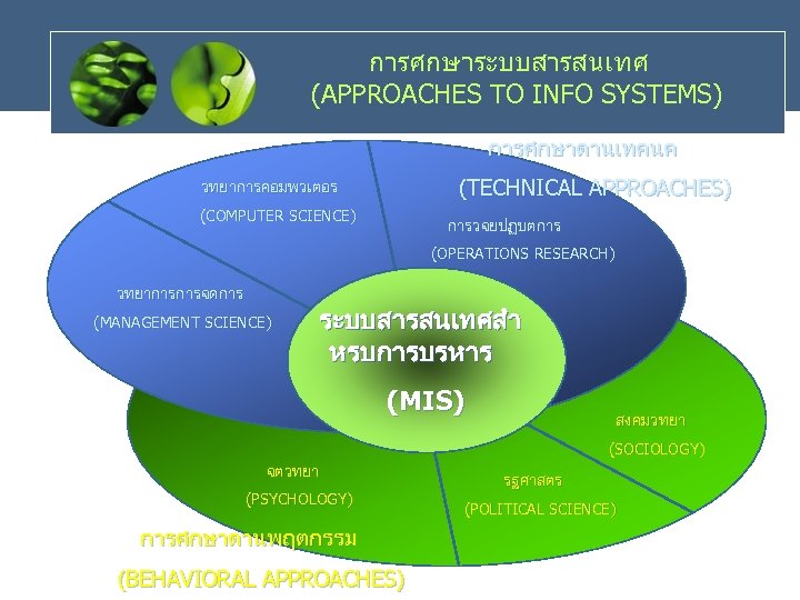 การศกษาระบบสารสนเทศ (APPROACHES TO INFO SYSTEMS) การศกษาดานเทคนค (TECHNICAL APPROACHES) วทยาการคอมพวเตอร (COMPUTER SCIENCE) การวจยปฏบตการ (OPERATIONS RESEARCH)