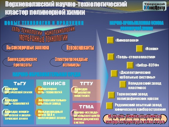Верхневолжский научно-технологический кластер полимерной химии «Химволокно» «Искож» «Тверь–стеклопластик» «Сибур–ПЭТФ» «Диэлектрические кабельные системы» Тв. ГУ