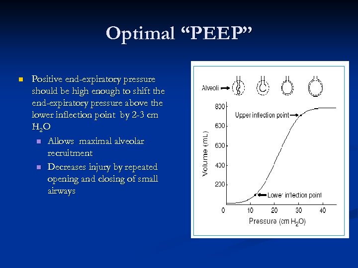 Optimal “PEEP” n Positive end-expiratory pressure should be high enough to shift the end-expiratory