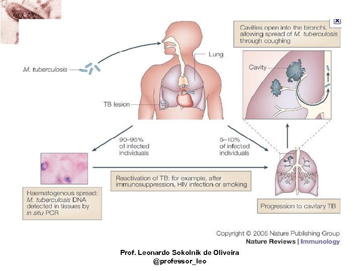 Prof. Leonardo Sokolnik de Oliveira @professor_leo 