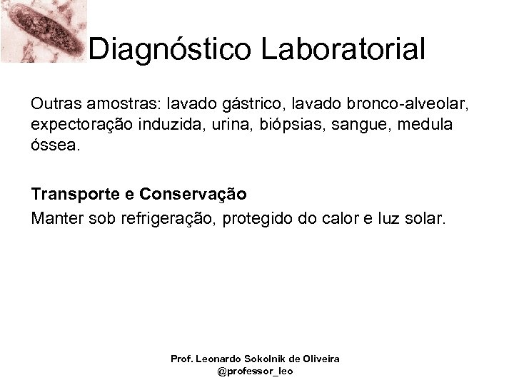 Diagnóstico Laboratorial Outras amostras: lavado gástrico, lavado bronco-alveolar, expectoração induzida, urina, biópsias, sangue, medula