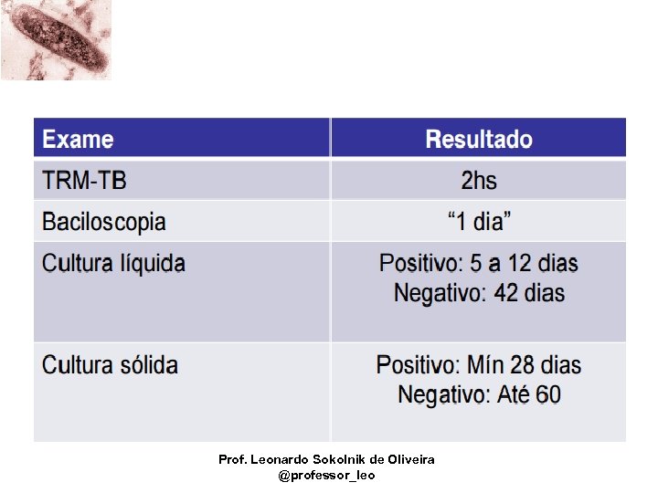 Prof. Leonardo Sokolnik de Oliveira @professor_leo 