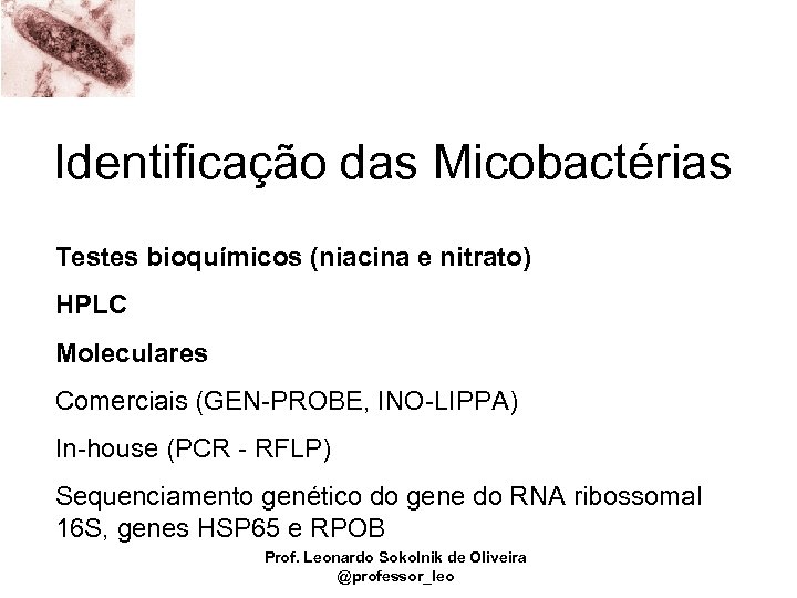 Identificação das Micobactérias Testes bioquímicos (niacina e nitrato) HPLC Moleculares Comerciais (GEN-PROBE, INO-LIPPA) In-house