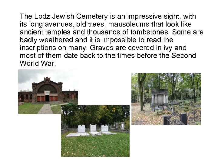 The Lodz Jewish Cemetery is an impressive sight, with its long avenues, old trees,
