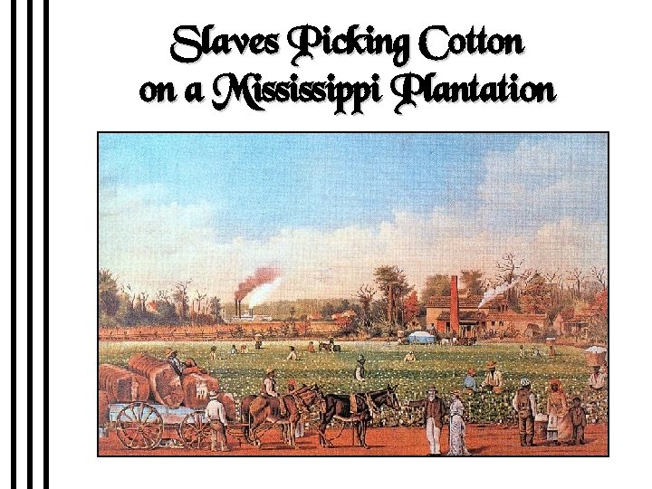 Slaves Picking Cotton on a Mississippi Plantation 