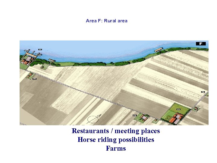 Area F: Rural area Restaurants / meeting places Horse riding possibilities Farms 