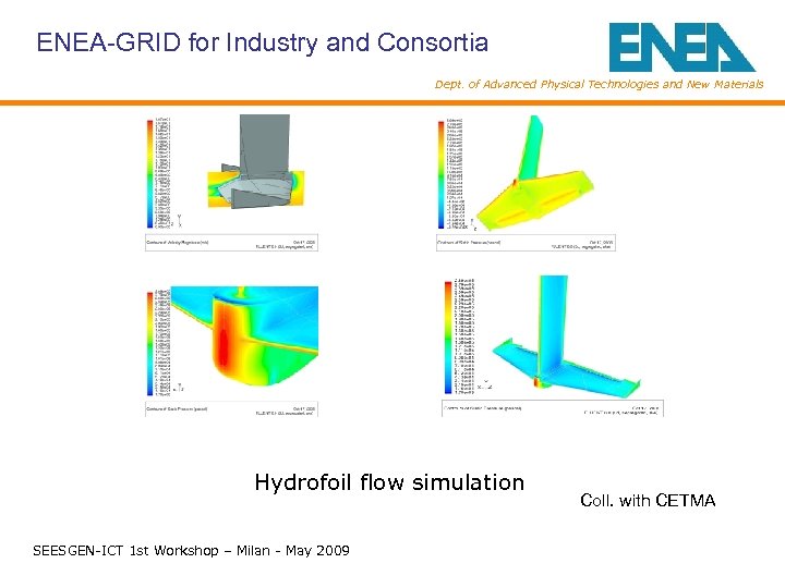 ENEA-GRID for Industry and Consortia Dept. of Advanced Physical Technologies and New Materials Hydrofoil