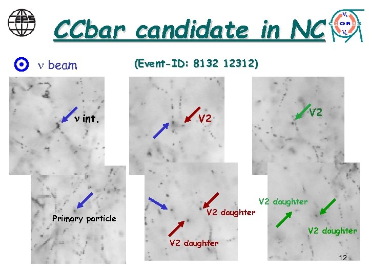 CCbar candidate in NC beam n int. Primary particle (Event-ID: 8132 12312) V 2