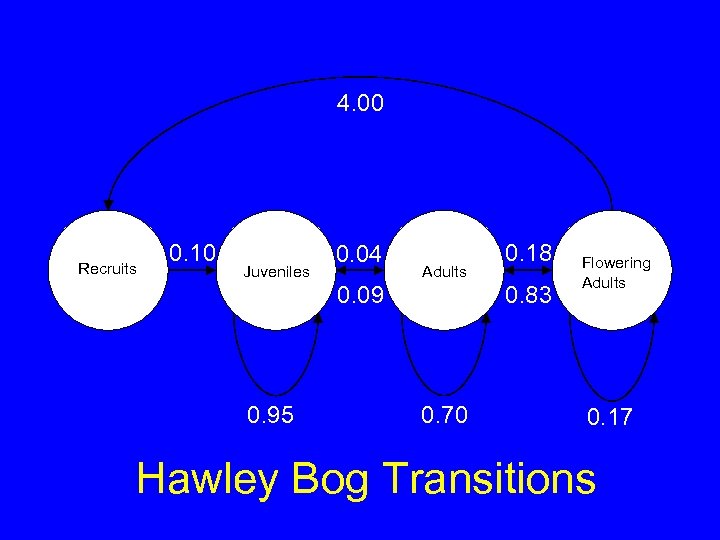 4. 00 Recruits 0. 10 Juveniles 0. 04 Adults 0. 09 0. 95 0.