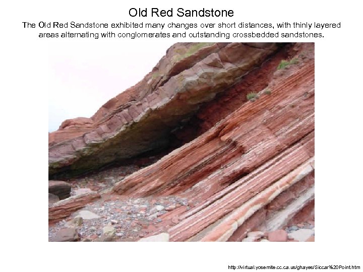 Old Red Sandstone The Old Red Sandstone exhibited many changes over short distances, with