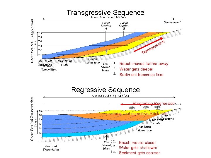 Transgressive Sequence on ssi re sg ran T Far Shelf limestone Near Shelf shale