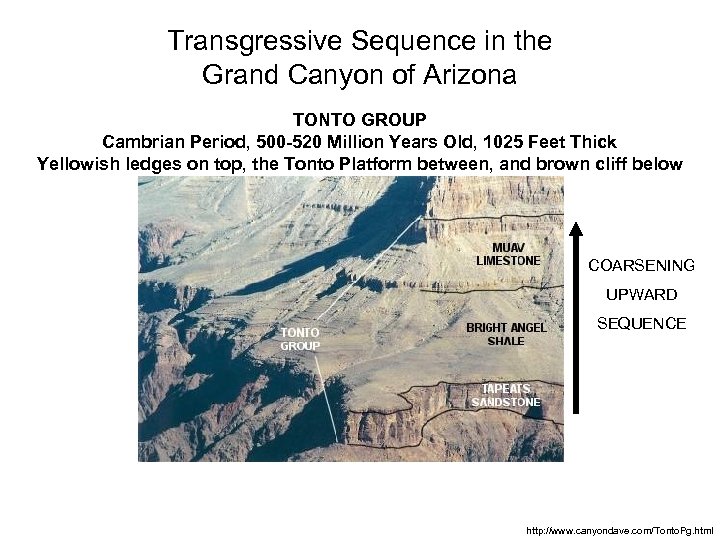 Transgressive Sequence in the Grand Canyon of Arizona TONTO GROUP Cambrian Period, 500 -520