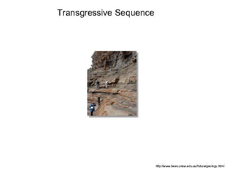 Transgressive Sequence http: //www. bees. unsw. edu. au/future/geology. html 