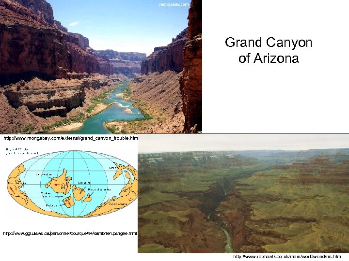 Grand Canyon of Arizona http: //www. mongabay. com/external/grand_canyon_trouble. htm http: //www. ggl. ulaval. ca/personnel/bourque/s