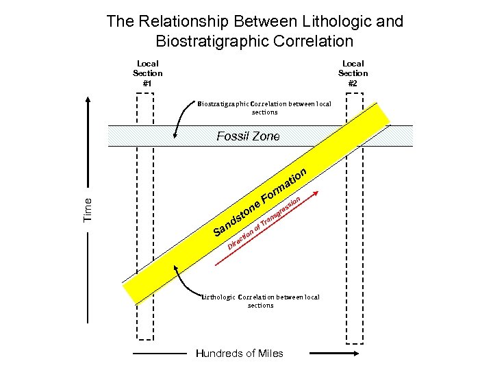 The Relationship Between Lithologic and Biostratigraphic Correlation Local Section #1 Local Section #2 Biostratigraphic