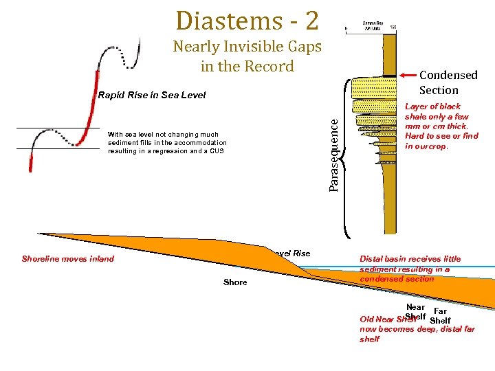 Diastems - 2 Nearly Invisible Gaps in the Record Condensed Section Parasequence Rapid Rise