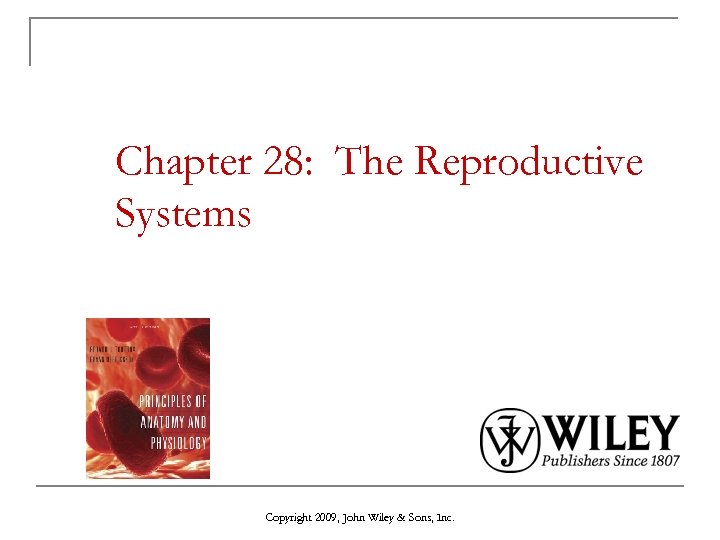 Chapter 28: The Reproductive Systems Copyright 2009, John Wiley & Sons, Inc. 