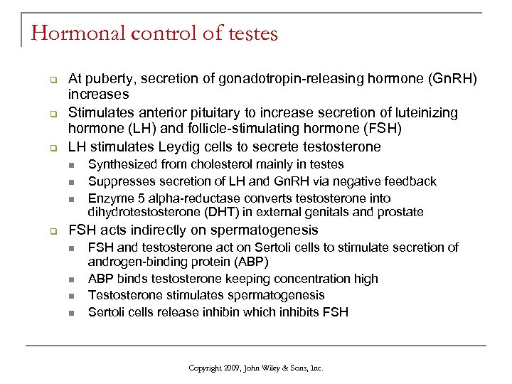 Hormonal control of testes q q q At puberty, secretion of gonadotropin-releasing hormone (Gn.