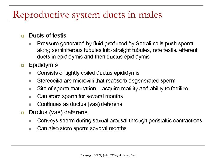 Reproductive system ducts in males q Ducts of testis n q Epididymis n n