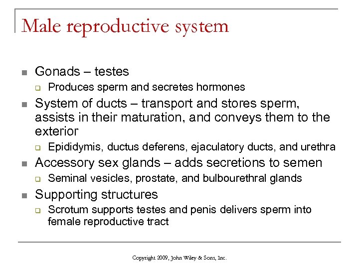 Male reproductive system n Gonads – testes q n System of ducts – transport