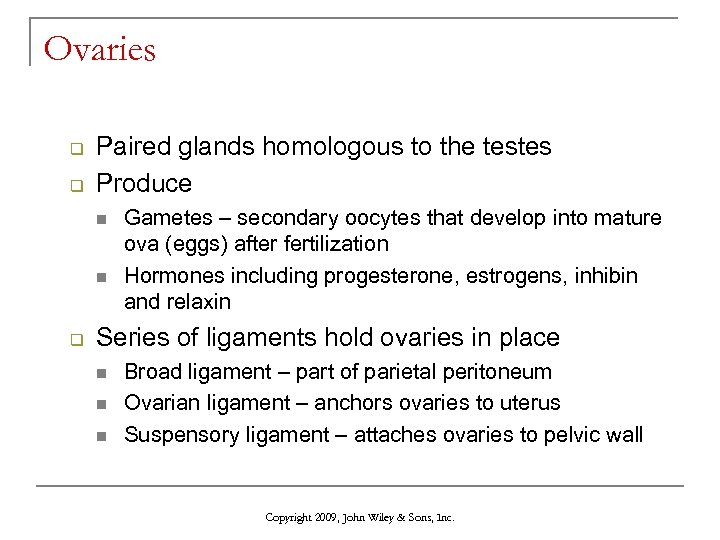 Ovaries q q Paired glands homologous to the testes Produce n n q Gametes