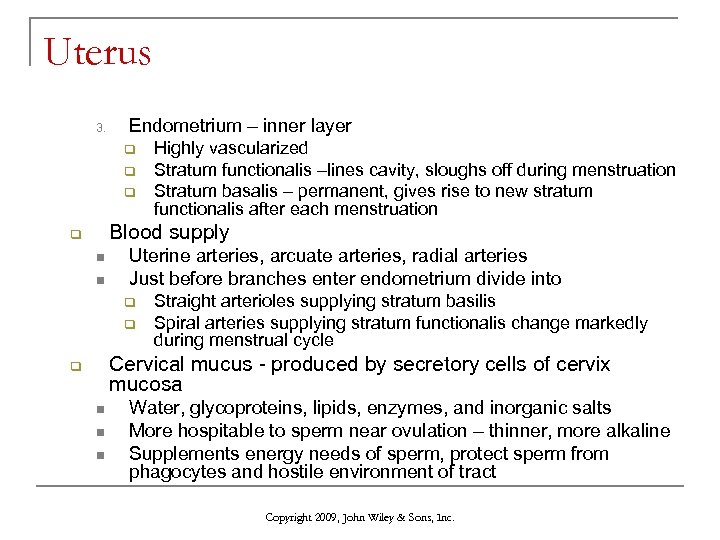 Uterus 3. Endometrium – inner layer q q q Highly vascularized Stratum functionalis –lines