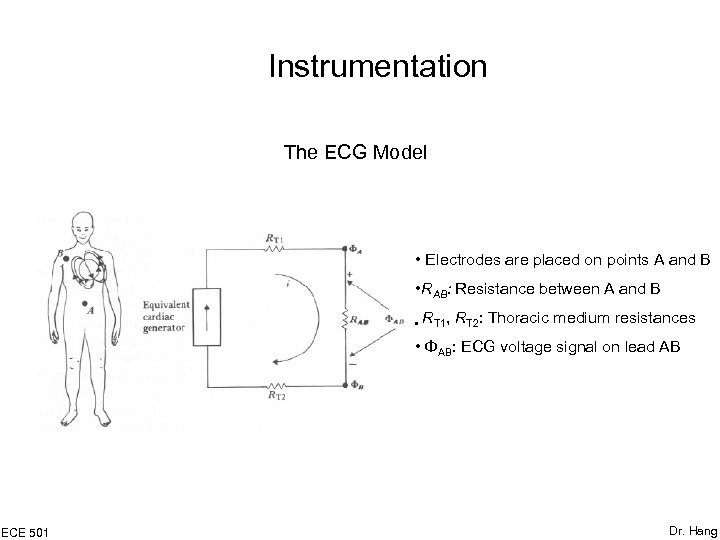 Instrumentation The ECG Model • Electrodes are placed on points A and B •