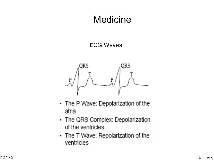Medicine ECG Waves ECE 501 Dr. Hang 