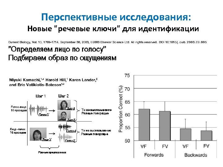 Перспективные исследования: Новые 