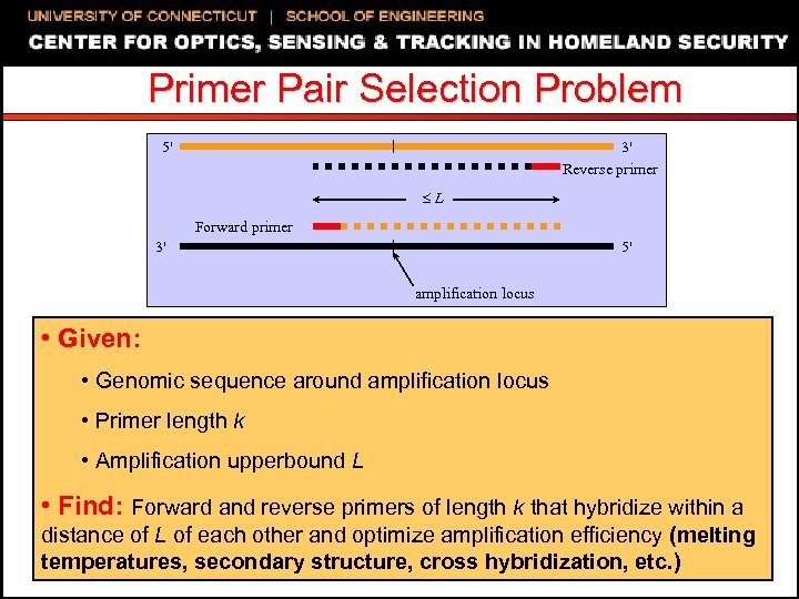 Primer Pair Selection Problem 5' 3' Reverse primer L Forward primer 3' 5' amplification