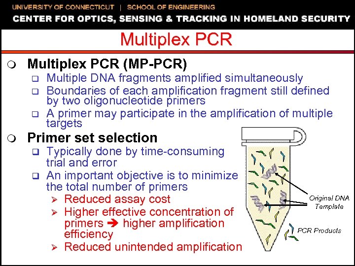 Multiplex PCR m Multiplex PCR (MP-PCR) q q q m Multiple DNA fragments amplified