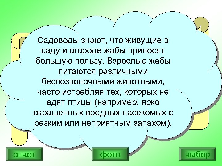 Садоводы знают, что живущие в Сама знаю, что не красавица. саду и огороде жабы